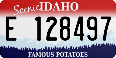 ID license plate E128497