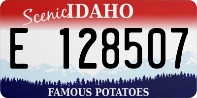 ID license plate E128507