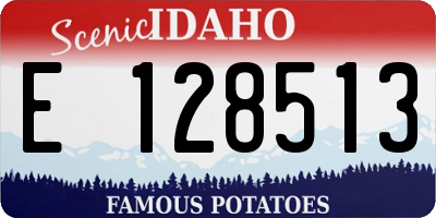 ID license plate E128513