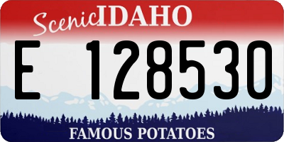 ID license plate E128530