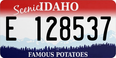 ID license plate E128537
