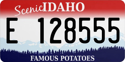 ID license plate E128555