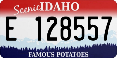 ID license plate E128557