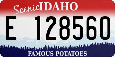 ID license plate E128560