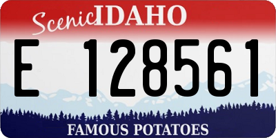ID license plate E128561