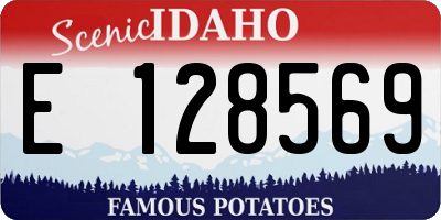 ID license plate E128569