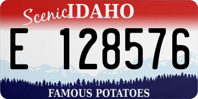 ID license plate E128576