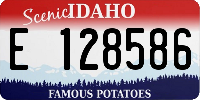 ID license plate E128586