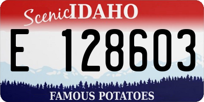 ID license plate E128603