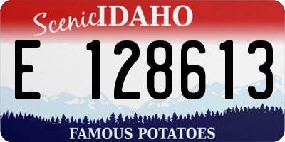 ID license plate E128613