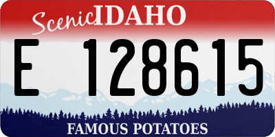 ID license plate E128615