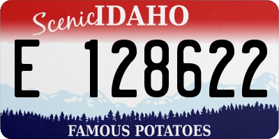 ID license plate E128622