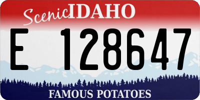 ID license plate E128647