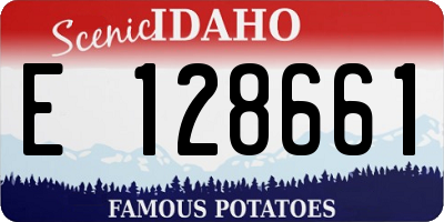 ID license plate E128661