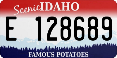 ID license plate E128689