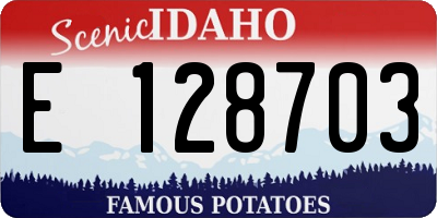 ID license plate E128703