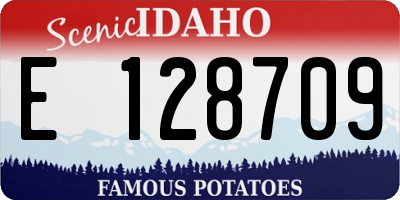 ID license plate E128709