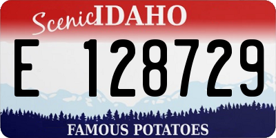 ID license plate E128729