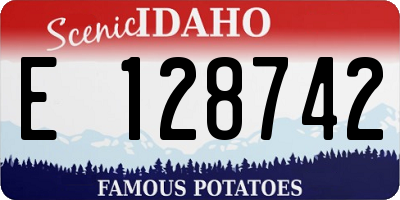 ID license plate E128742