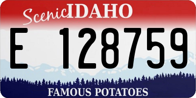 ID license plate E128759