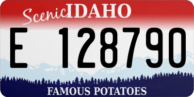 ID license plate E128790