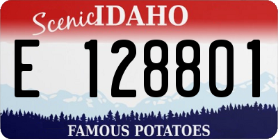 ID license plate E128801