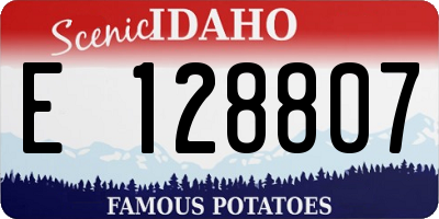 ID license plate E128807