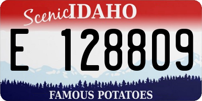 ID license plate E128809