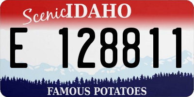ID license plate E128811
