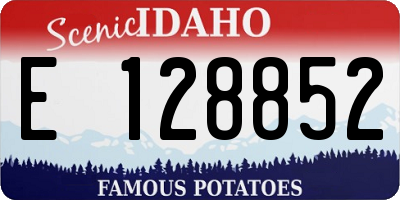 ID license plate E128852
