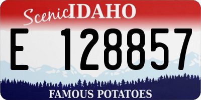 ID license plate E128857