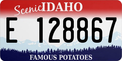 ID license plate E128867