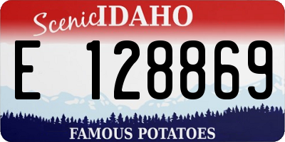 ID license plate E128869
