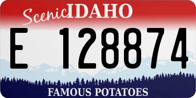 ID license plate E128874