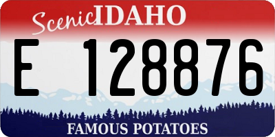 ID license plate E128876