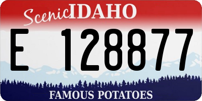 ID license plate E128877