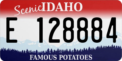ID license plate E128884