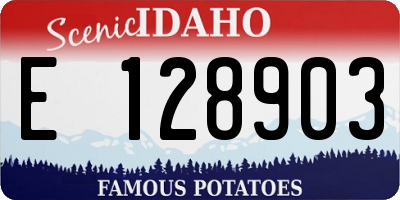 ID license plate E128903