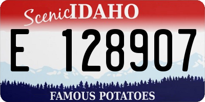 ID license plate E128907