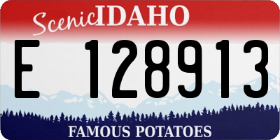 ID license plate E128913