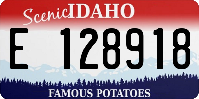 ID license plate E128918