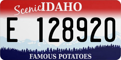 ID license plate E128920