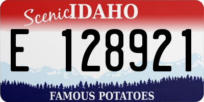 ID license plate E128921