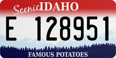 ID license plate E128951
