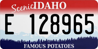 ID license plate E128965