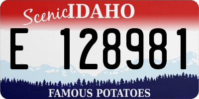 ID license plate E128981