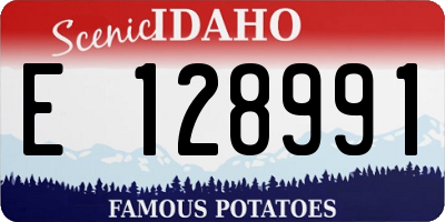 ID license plate E128991