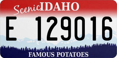 ID license plate E129016