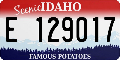 ID license plate E129017