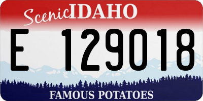 ID license plate E129018